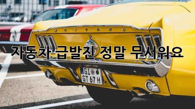 자동차 급발진, 정말 무서워요!