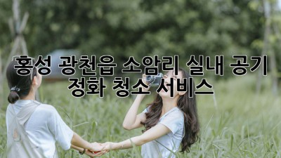 홍성 광천읍 소암리 실내 공기 정화 청소 서비스